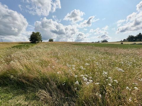 EN EXCLUSIVITE, Chantal Jacquement vous propose , à la campagne, au calme, un terrain à bâtir à seulement 5 min du centre bourg de Corgnac sur l'Isle. Accès facile. Façade de 35 m. Terrain entièrement borné. Certificat d'urbanisme en cours de validit...