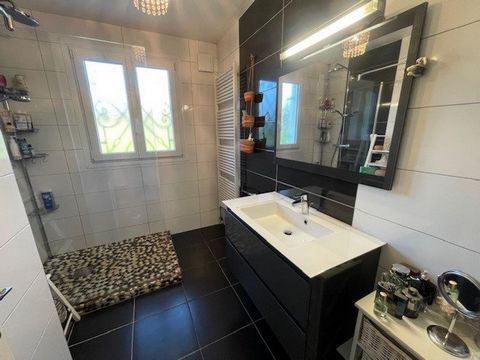 photo no. 11