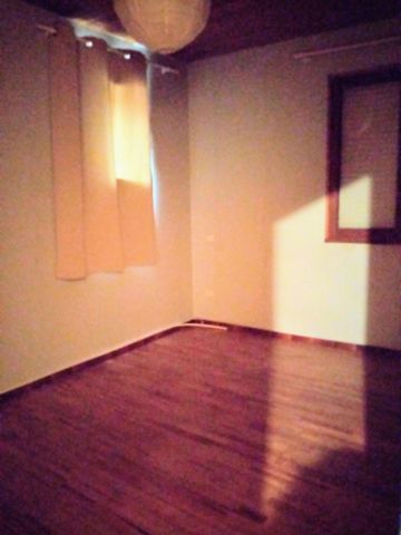 photo no. 6