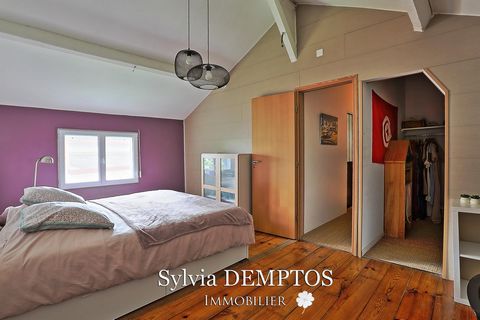 photo no. 11