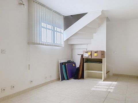 photo no. 11