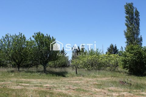 photo no. 1