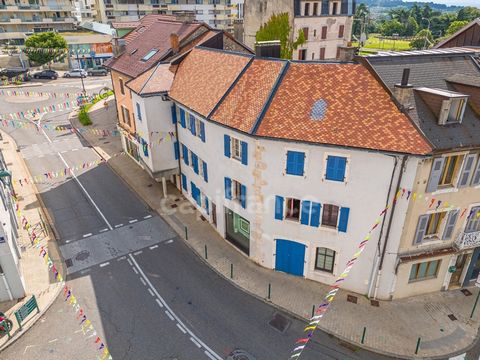 Maison à vendre 10 pièces GEX (01)