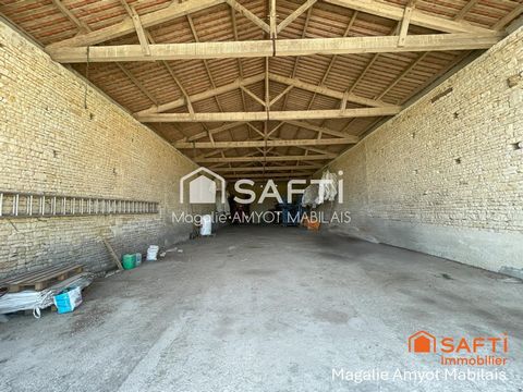 photo no. 13