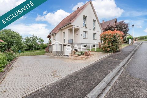 photo no. 14