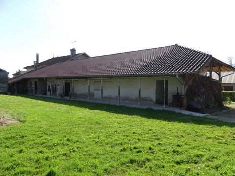 photo no. 1