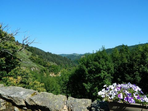 photo no. 1