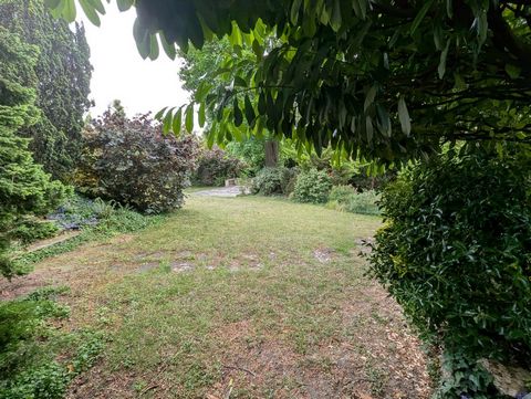 photo no. 2