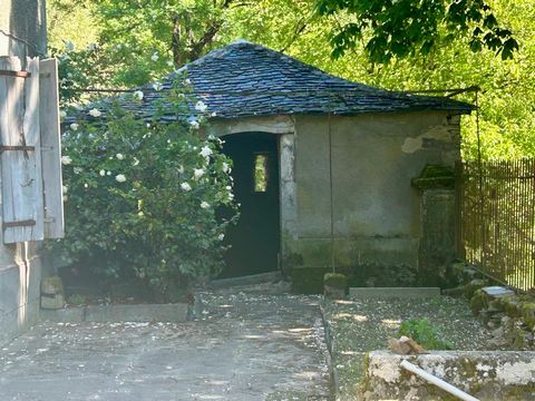 photo no. 10