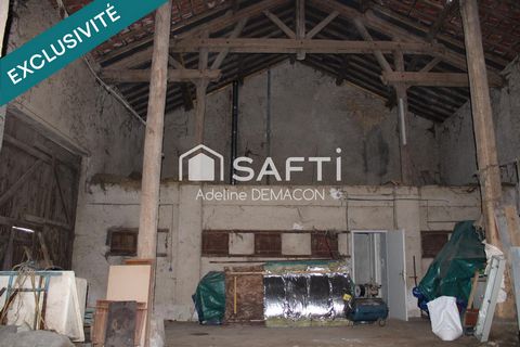 photo no. 13