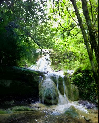 photo no. 7
