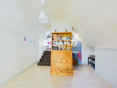 photo no. 11