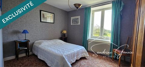 photo no. 11