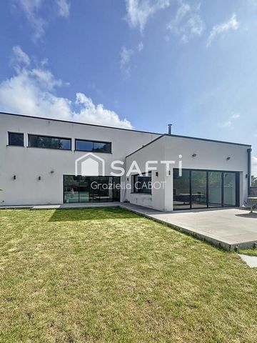 photo no. 16