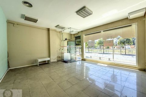 This 206 sqm commercial property is located on one of Ayamonte’s busiest main roads, offering outstanding street visibility and convenient access for both foot and vehicle traffic. Inside, the layout includes several separate rooms, adaptable for use...