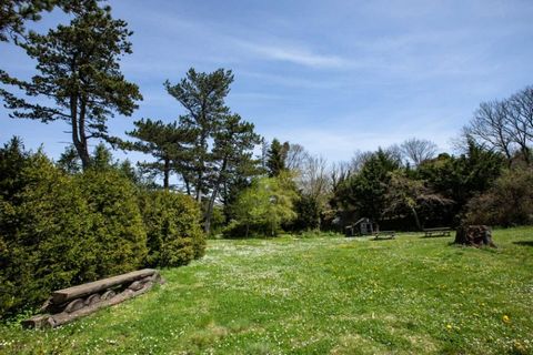 photo no. 12