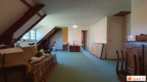 photo no. 13