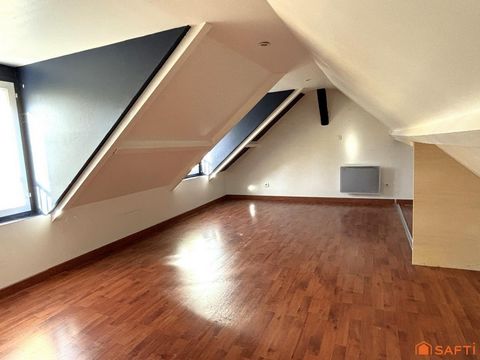 photo no. 11