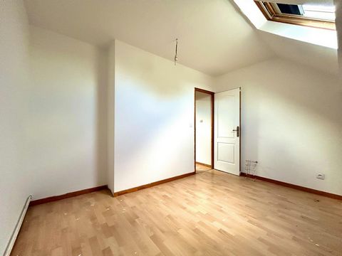 photo no. 8