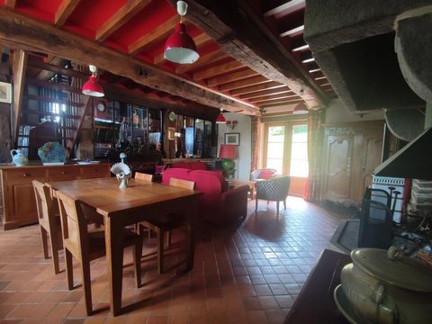 photo no. 4
