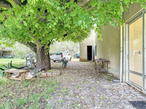 photo no. 18