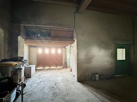 photo no. 17