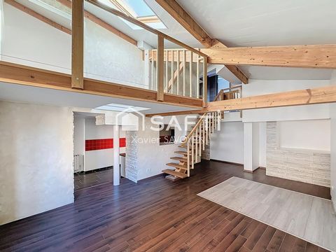 Superbe T3 Duplex 129m² + cave