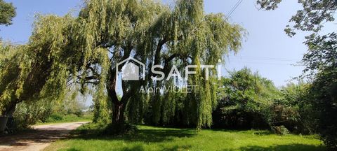 photo no. 15