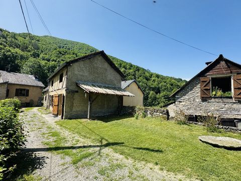 photo no. 4