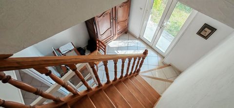 photo no. 12