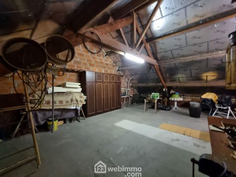 photo no. 14
