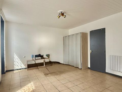 photo no. 11