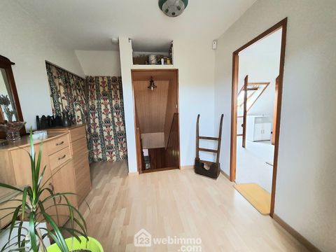 photo no. 12