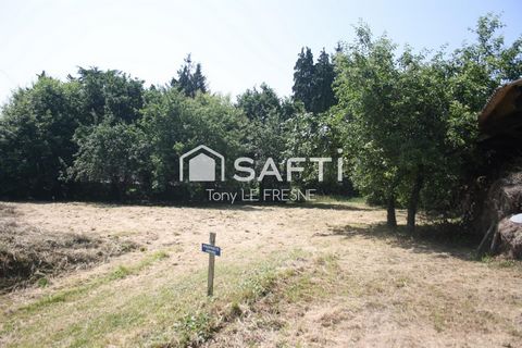 photo no. 3