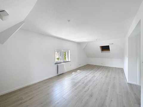 photo no. 18