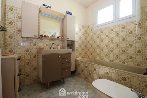 photo no. 11