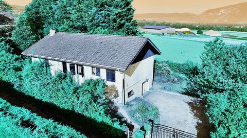 photo no. 14
