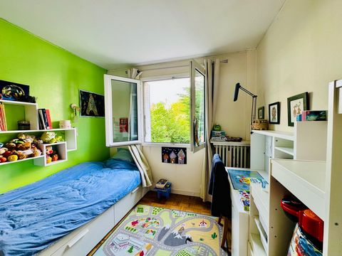 photo no. 8