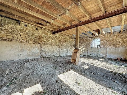 photo no. 10