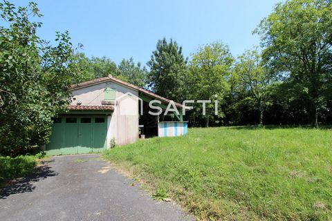 photo no. 11