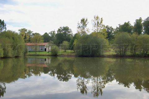 photo no. 2
