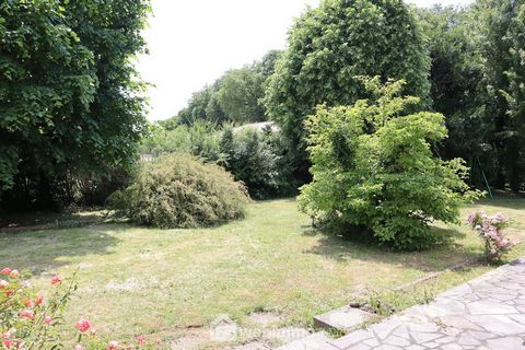 photo no. 9