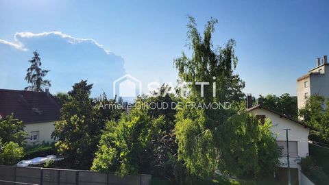 photo no. 11