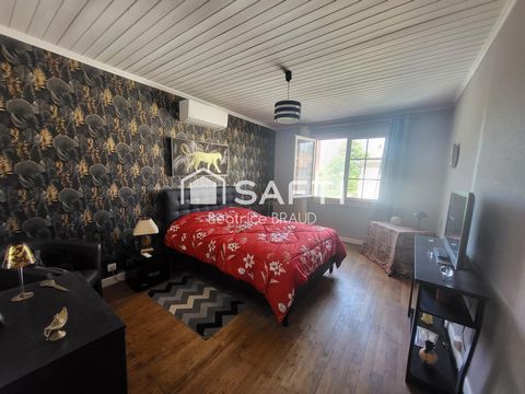 photo no. 11