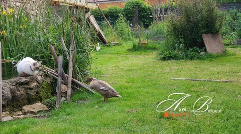 photo no. 12