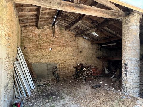 photo no. 10