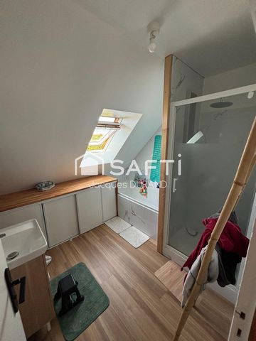 photo no. 11