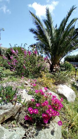 photo no. 16