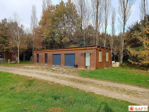 photo no. 16