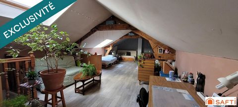photo no. 16